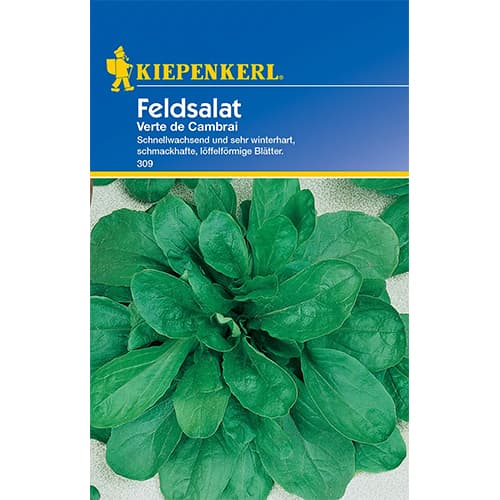 Валериана Verte de Cambrai, смес изображение 1 артикул 77493